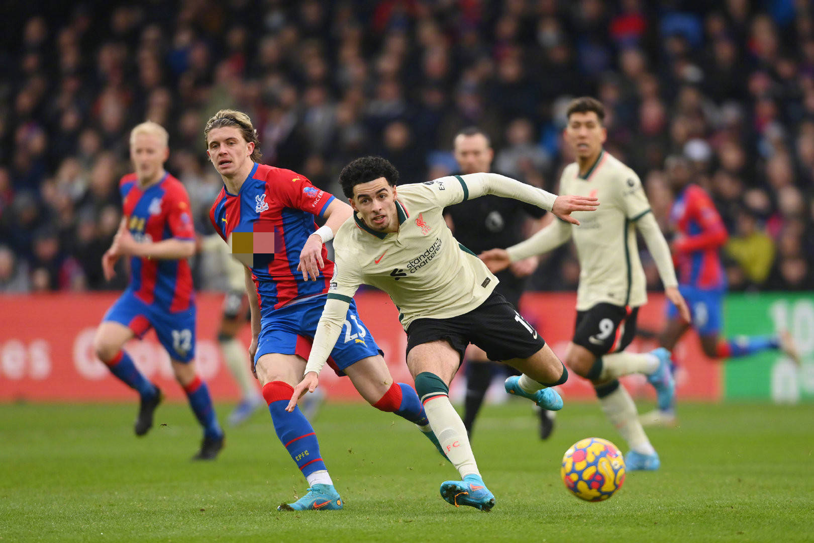 并没有因为 并没有因为